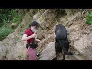The forgotten treasure the clever dog discovered something