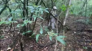 Metal Detecting the Mosquito Coast Silver Coins Garrett Apex