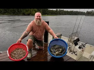 Days Living on the St Johns River Loads of Shrimp and