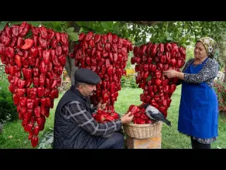 Farm to Table Crafting Homemade Bell Pepper Paste from