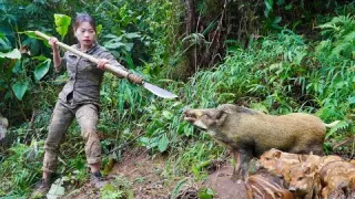 traces of wild boars digging pits to trap piglets to raise