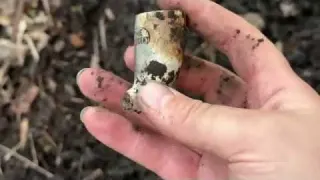Fighting Invaders in the Woods to Win the Treasures