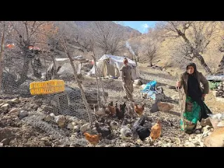 A Surprise in the Nomadic Camp Reza the Runaway Chicks and