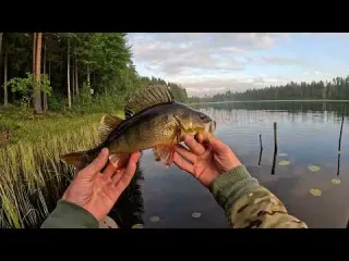 This Is How You Do a Perfect Day of Fishing and Cooking