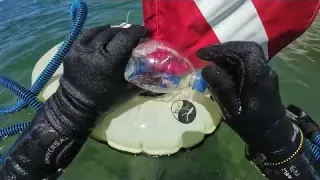 Este ANILLO DE COMPROMISO me PAGÓ TODO EL VIAJE Detección