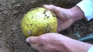 The man is so lucky to find an unexpected treasure when he