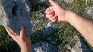 Horasan Harcıyla Yapılmış Define Kasaları Buldum