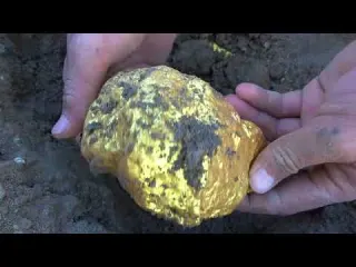 A golden dragon and various precious treasures are found in