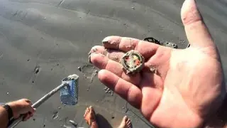 Metal Detecting Treasure and Rings beachmetaldetecting