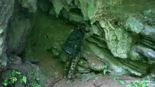 build rock shelters catch stream fish by hand wild boar