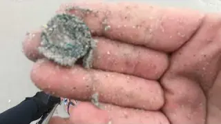 Beach Metal Detecting metaldetecting