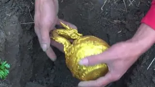 Found 5 Explosive Devices Underwater with the U S Navy Bomb