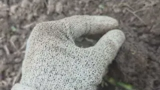 В поисках древностей с металлоискателем