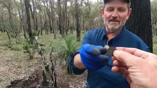 WW2 Relic Hunt with Steve Moore Garrett Vortex VX 9