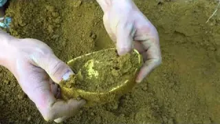 Find a treasure gathering place in the wilderness and make