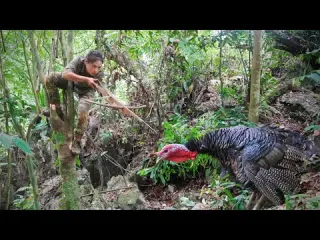 Go to new lands to trap turkeys skills trap turkeys great