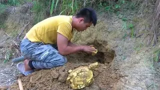 Find a treasure gathering place in the wilderness and make
