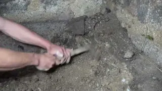 We Found Crazy Stuff Diving in the River ft Jiggin With