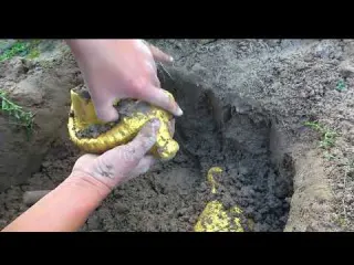 I found a million year old Golden Chicken and egg in the