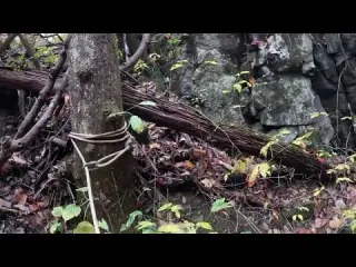 Stuck Alone In A Cave Anxiety Warning
