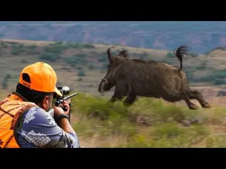 HUGE BOAR HUNTING IN THE MOUNTAINS
