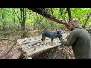 Building a Warm and Cozy Survival Shelter on a Massive