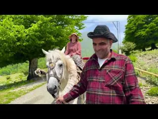 Harvesting Wild Mountain Lavender and Cooking Traditional