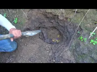 Metal detectors reshape history uncovering hidden treasures