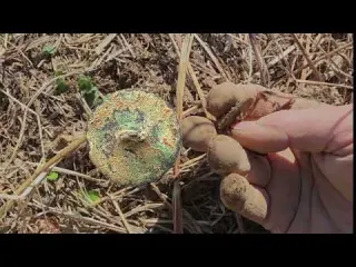 Metal Detecting On An Abandoned Farm What I Found