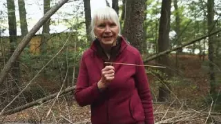 The Energy in These Woods Made This SPIN on Its Own