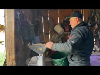 Living Alone in the Carpathians Homemade Soup Planting