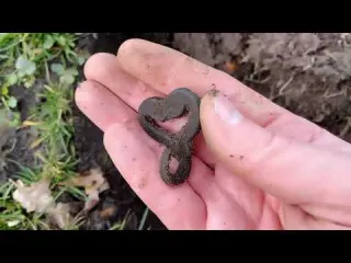 Metal Detecting in the Netherlands NR 68