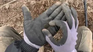 Schreckliche Entdeckung auf der Riesigen Traumfläche