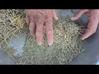 Nomadic life Building a shelter for small goats with blocks