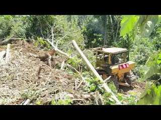 Turning Steep Slopes into Palm Oil Terraces for Easy Access