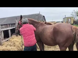 Ириска знакомится с Громом