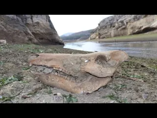 Sular Kayboldu Bunlar Ortada Kaldı