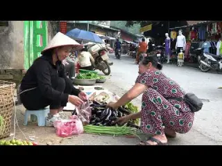 Harvesting Eggplants Long Beans Vegetables Brought To The