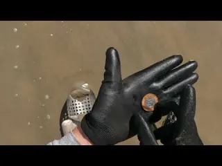 Caçadores de Tesouros na Praia com Detector de metal