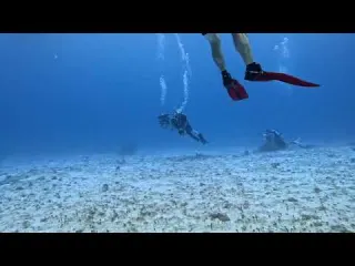 Scuba 507 13 Diving Cozumel