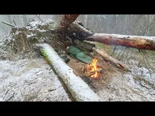 Shelter im Schneesturm zwischen umgestürzten Bäumen mit