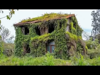 Three Men Clean 70 Year Old Buried House and Give It a
