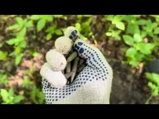 КЛАД СЕРЕБРА КОТОРЫЙ СПРЯТАЛИ СКИФЫ ТО ЧТО Я НАШЁЛ НА