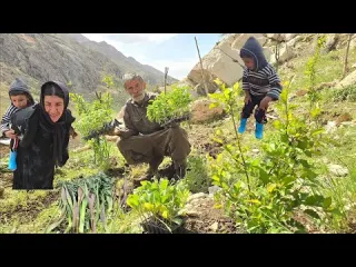 Planting Organic Eggplant and Peppers in the Mountains A