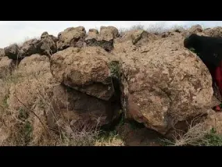 KAYA ARALARINDA TOPLANAN ZEHİRLİ VE ŞİFALI KÖY YEMEĞİ YENİ