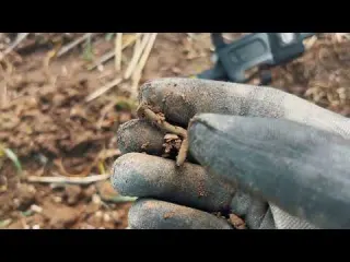 This is cool Metal Detectorists dream