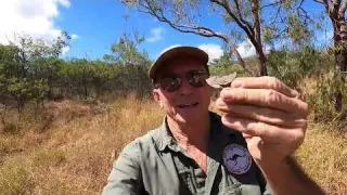 Metal Detecting Ghost Town Challenge Grass and Relics
