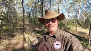 WW2 Mystery Camp Metal Detecting Garrett Apex