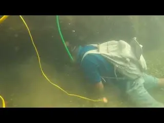 Pure Gold Below gold
