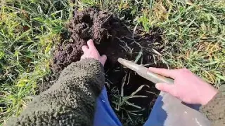 Was für TOLLE Funde